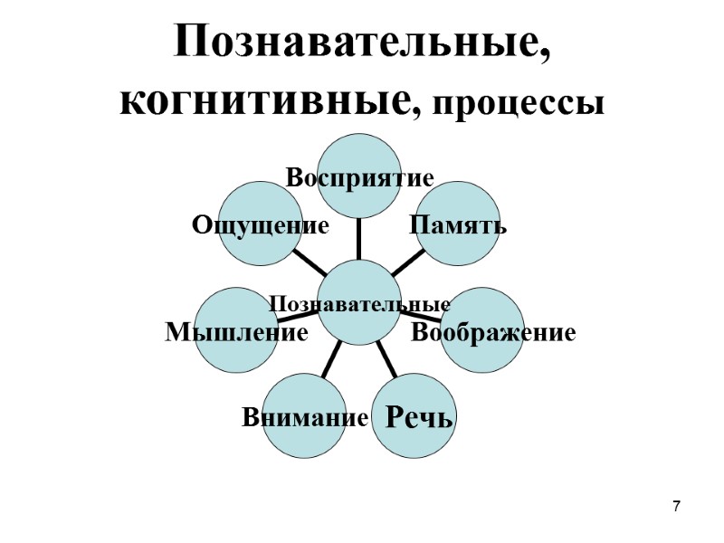 7 Познавательные, когнитивные, процессы